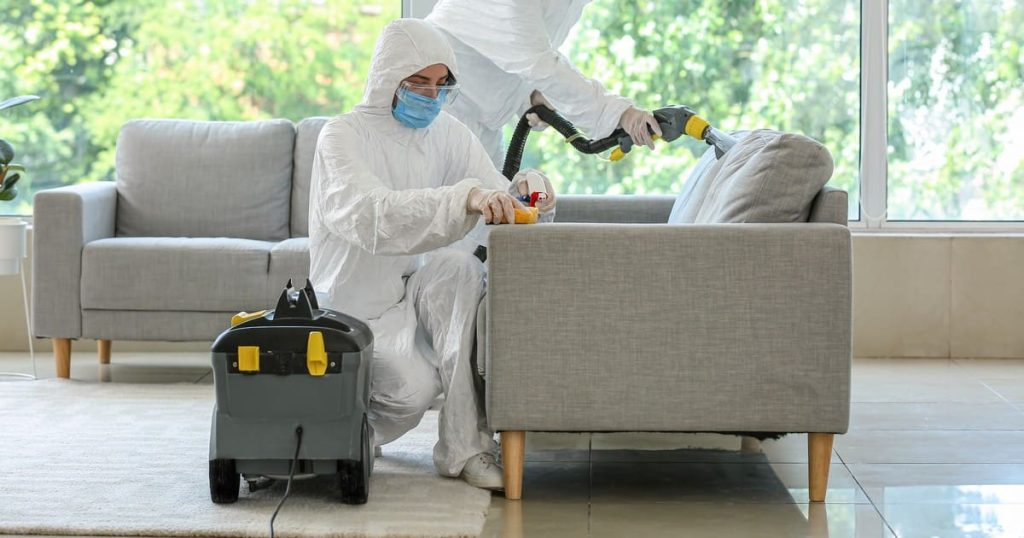 Two technicians in hazmat suits deep cleaning a gray sofa to mitigate biohazard risks in hoarder homes using professional extraction tools.