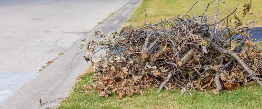 A large pile of cut tree branches and woody brush sitting on the grass at the edge of a residential street for collection.