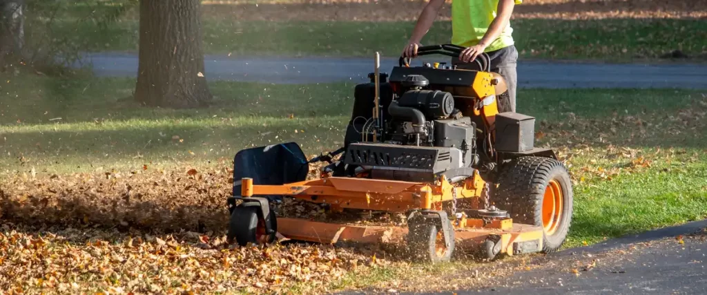 A close-up shot of a yard cleanup process featuring the removal of fallen branches and lawn debris from a grassy area.