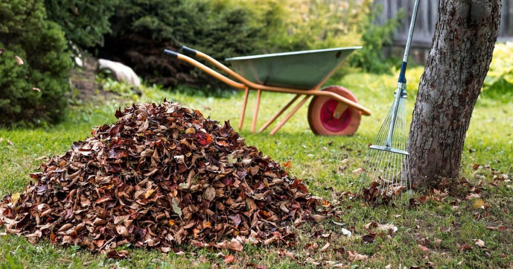 A wide-angle view of a residential property after professional yard cleanup services in Knoxville, showing a manicured lawn and clear garden beds.
