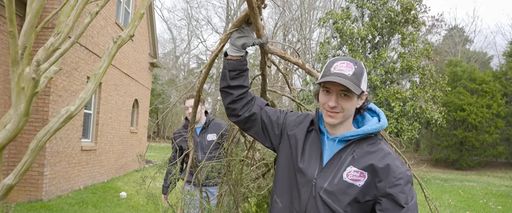 Junk removal crew hauling tree branches during backyard debris cleanup service
